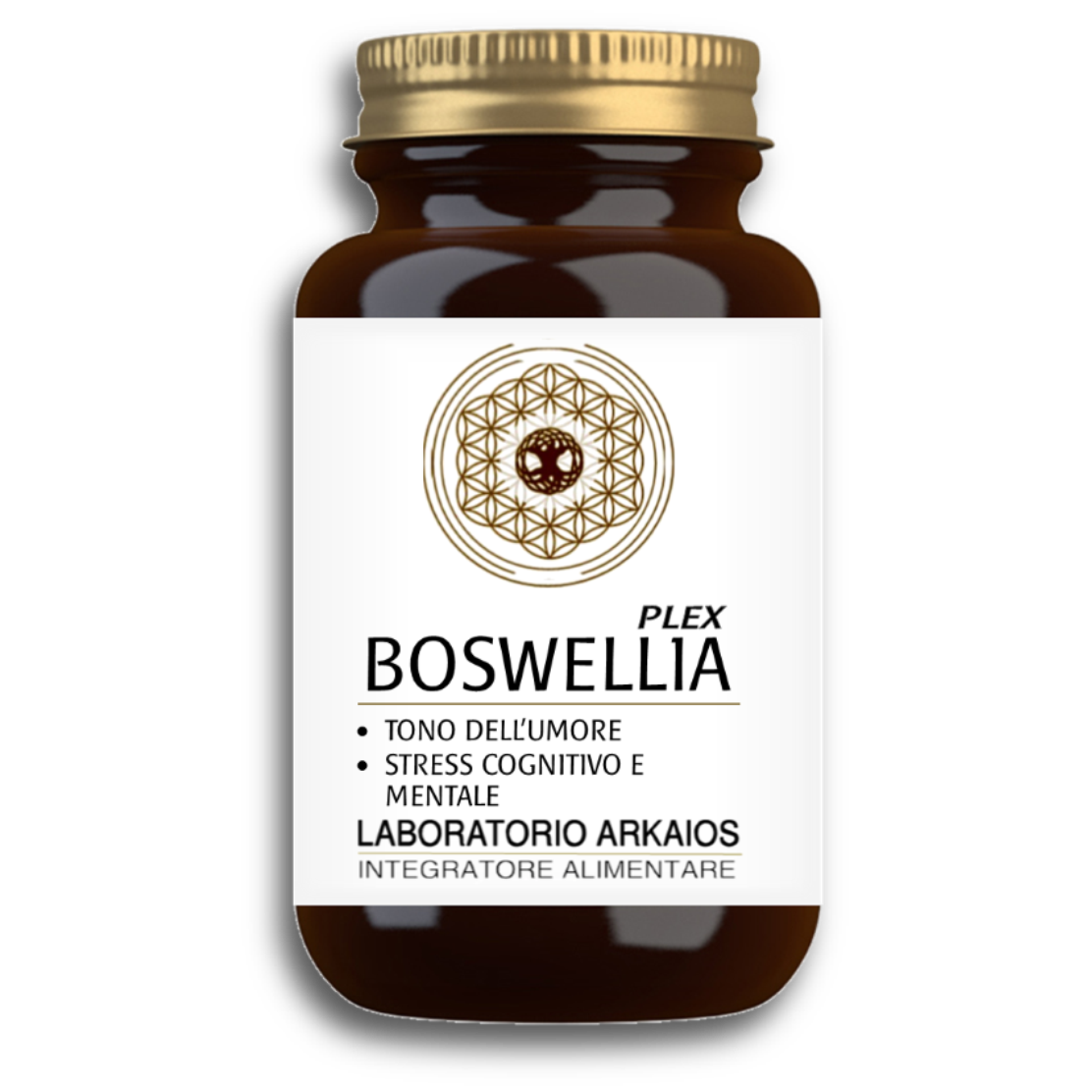 BOSWELLIA plex