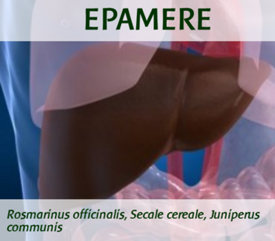 EPAMERE