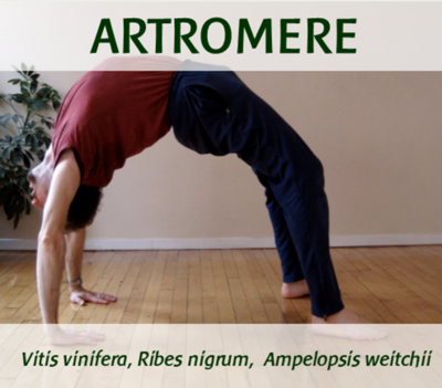 ARTROMERE