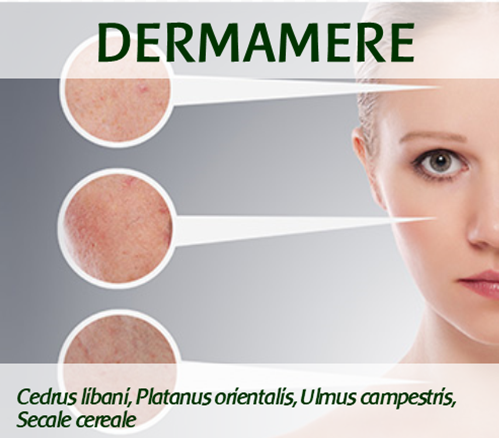 DERMAMERE