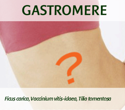 GASTROMERE
