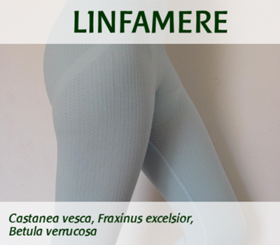 LINFAMERE