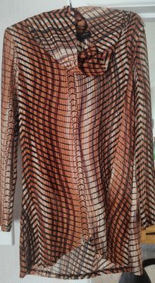 Rusty Long Sleeve Cowl Neck Mesh Top