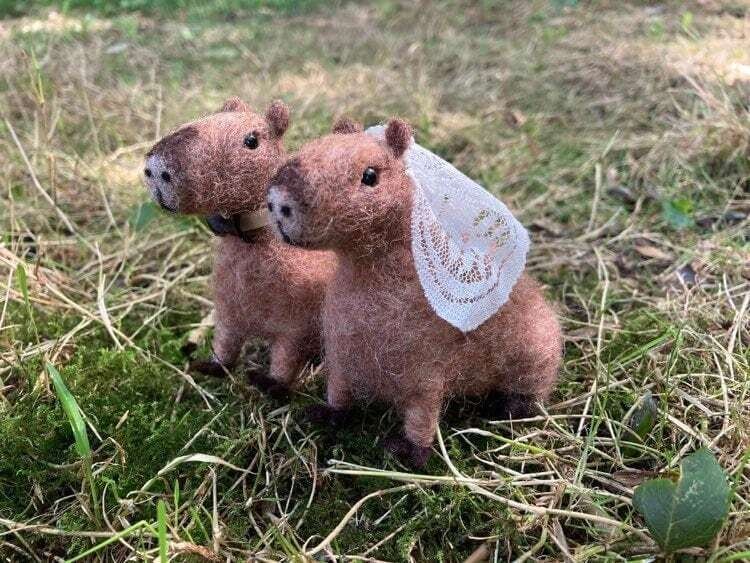 Capybara Wedding Couple - custom needle felted capybara husband and wife
