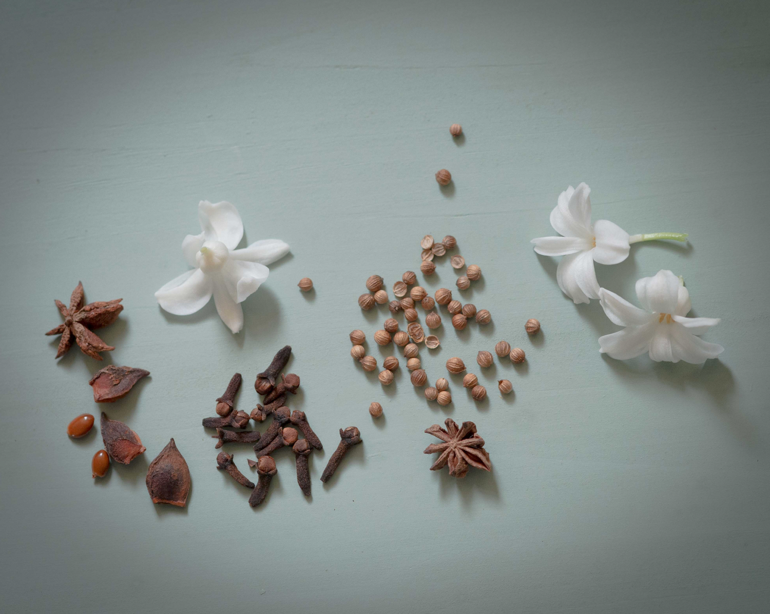 Ayurveda Workshop