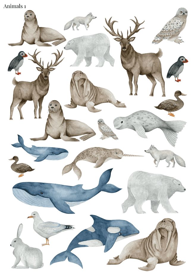 Stikeri &quot;Animals 1&quot;