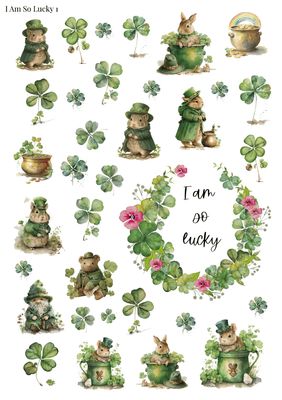 Stikeri &quot;I Am So Lucky 1&quot;