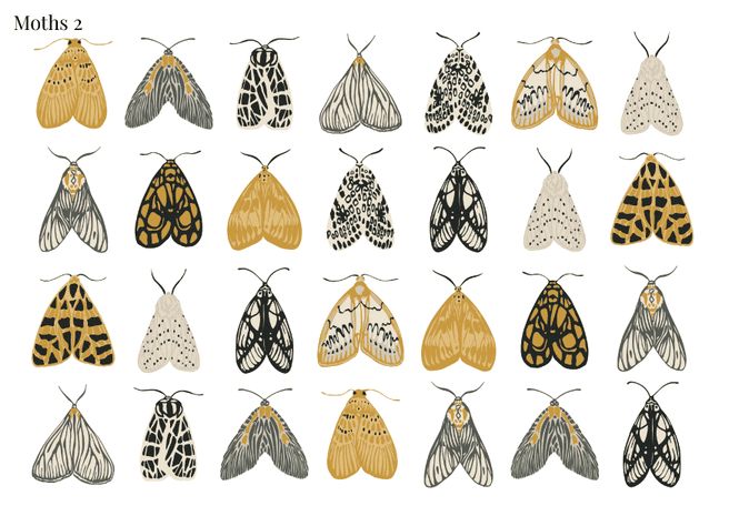 Stikeri &quot;Moths 2&quot;
