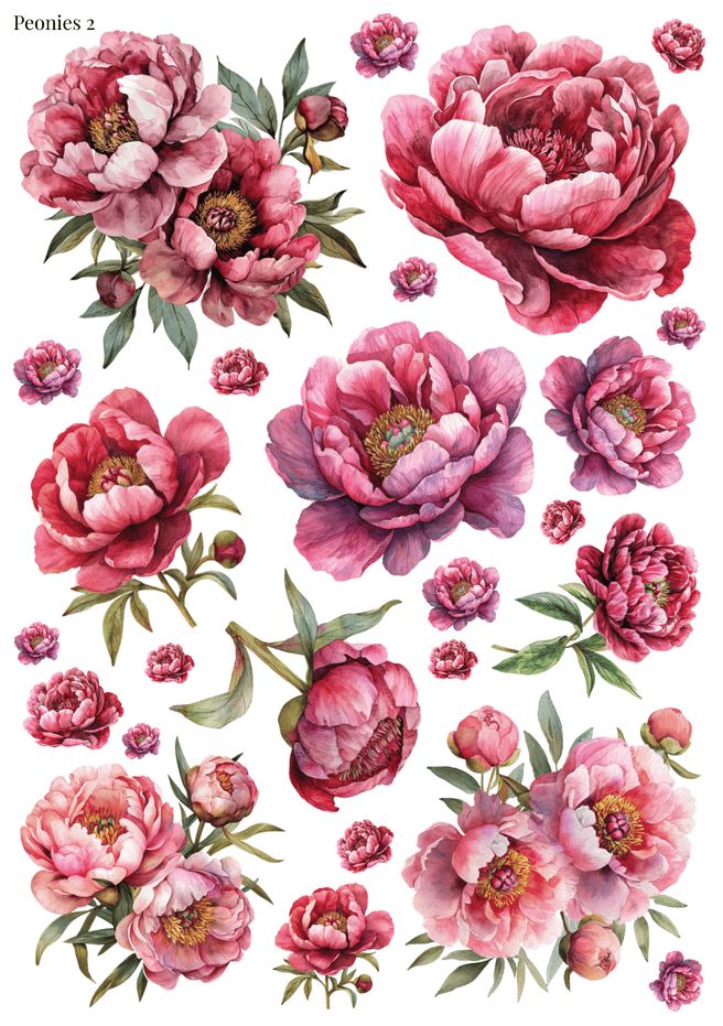 Stikeri &quot;Peonies 2&quot;