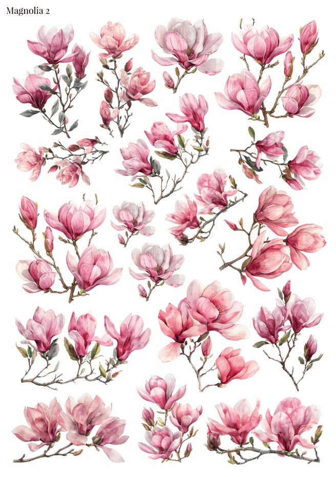 Stikeri &quot;Magnolia 2&quot;