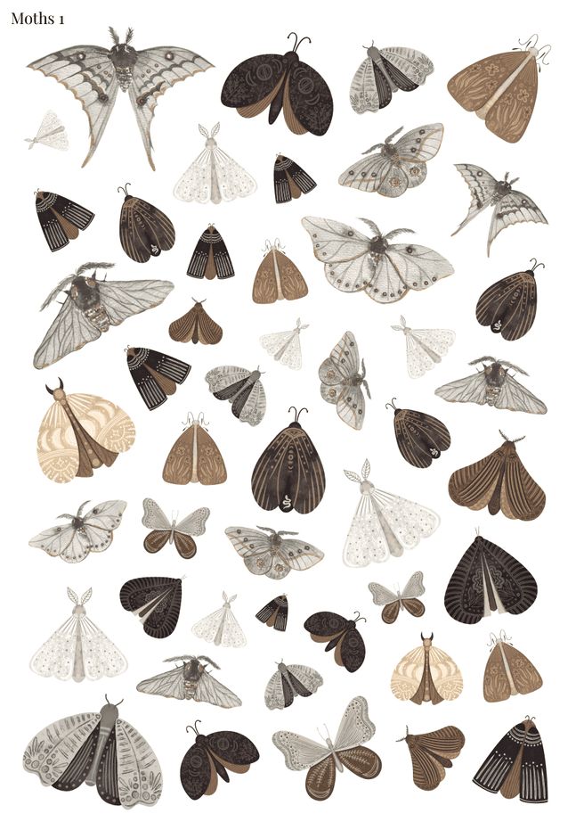 Stikeri &quot;Moths 1&quot;