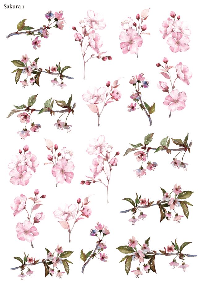 Stikeri &quot;Sakura 1&quot;