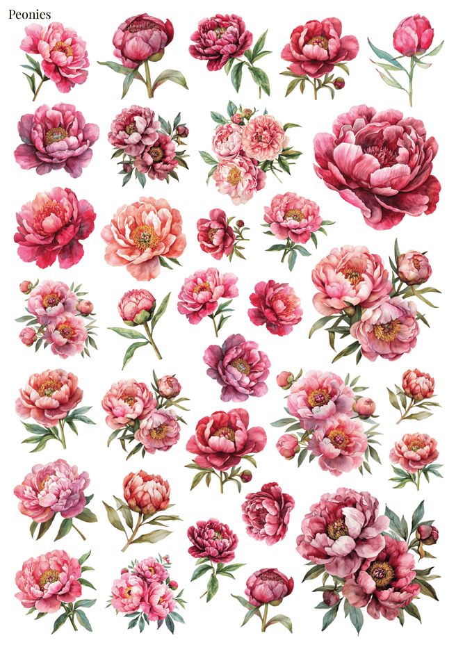 Stikeri &quot;Peonies 1&quot;