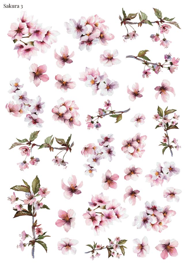 Stikeri &quot;Sakura 3&quot;