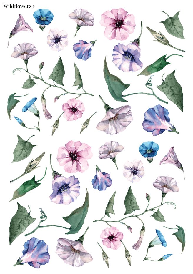 Stikeri &quot;Wildflowers 1&quot;