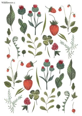 Stikeri &quot;Wildflowers 3&quot;