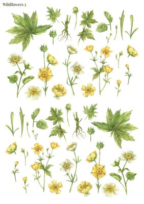 Stikeri &quot;Wildflowers 5&quot;