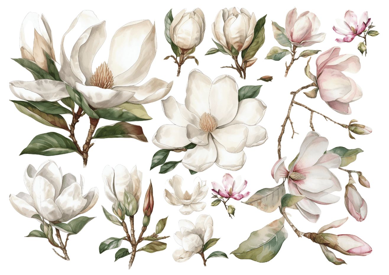 Set štampalica &quot;Magnolije&quot;