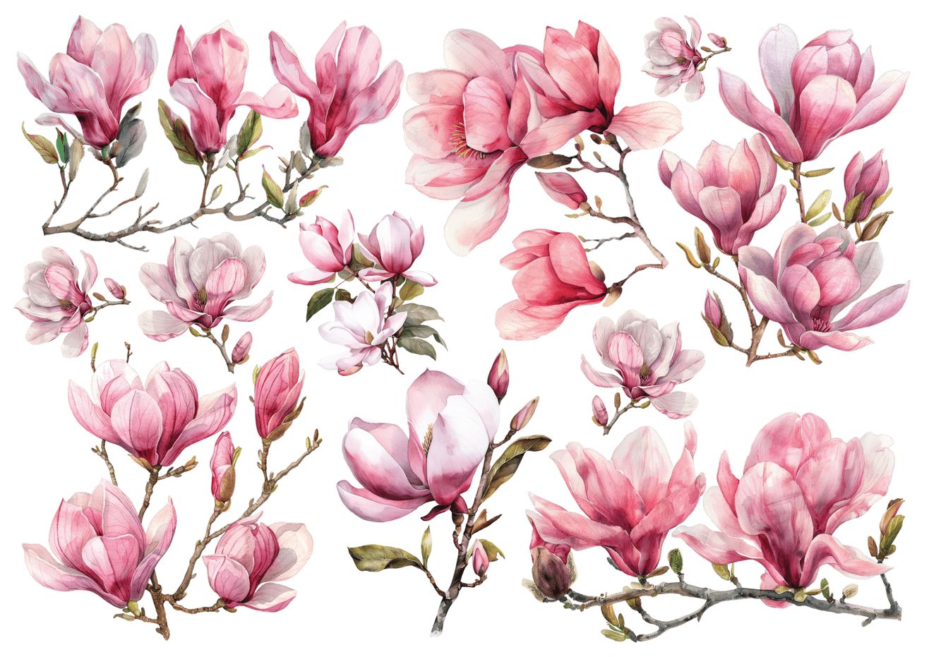 Set štampalica &quot;Magnolije&quot;