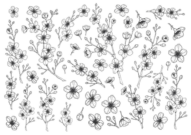Set štampalica &quot;Sakura&quot;