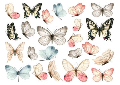 Set štampalica &quot;Leptiri&quot;