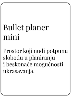 Bullet planer mini