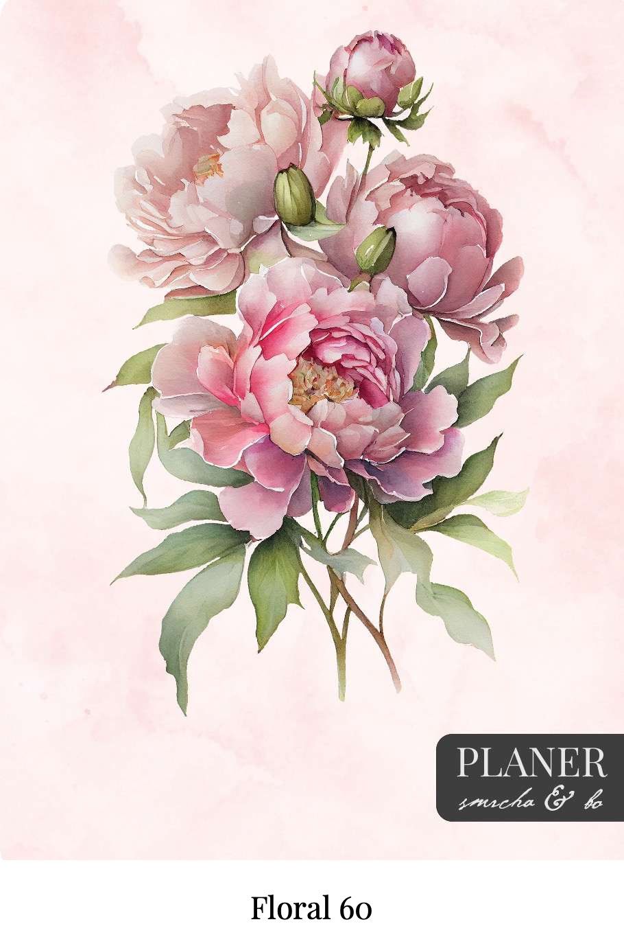 Kolekcija Floral