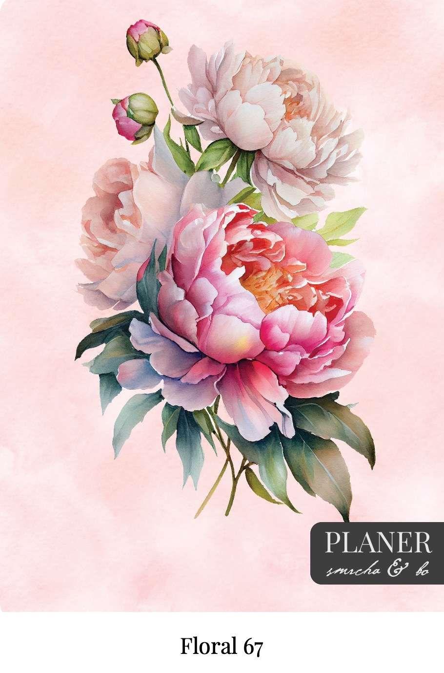 Kolekcija Floral