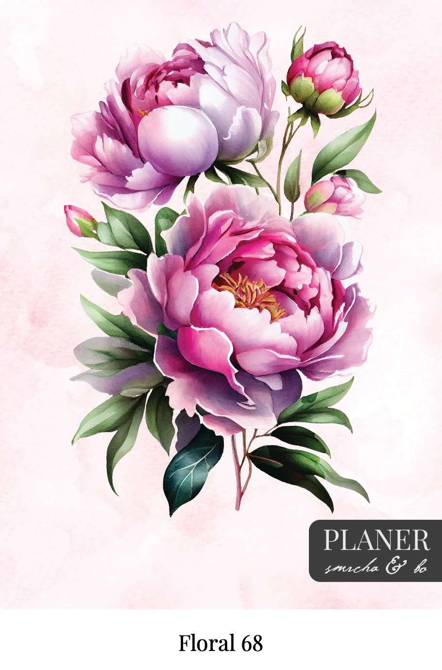 Kolekcija Floral