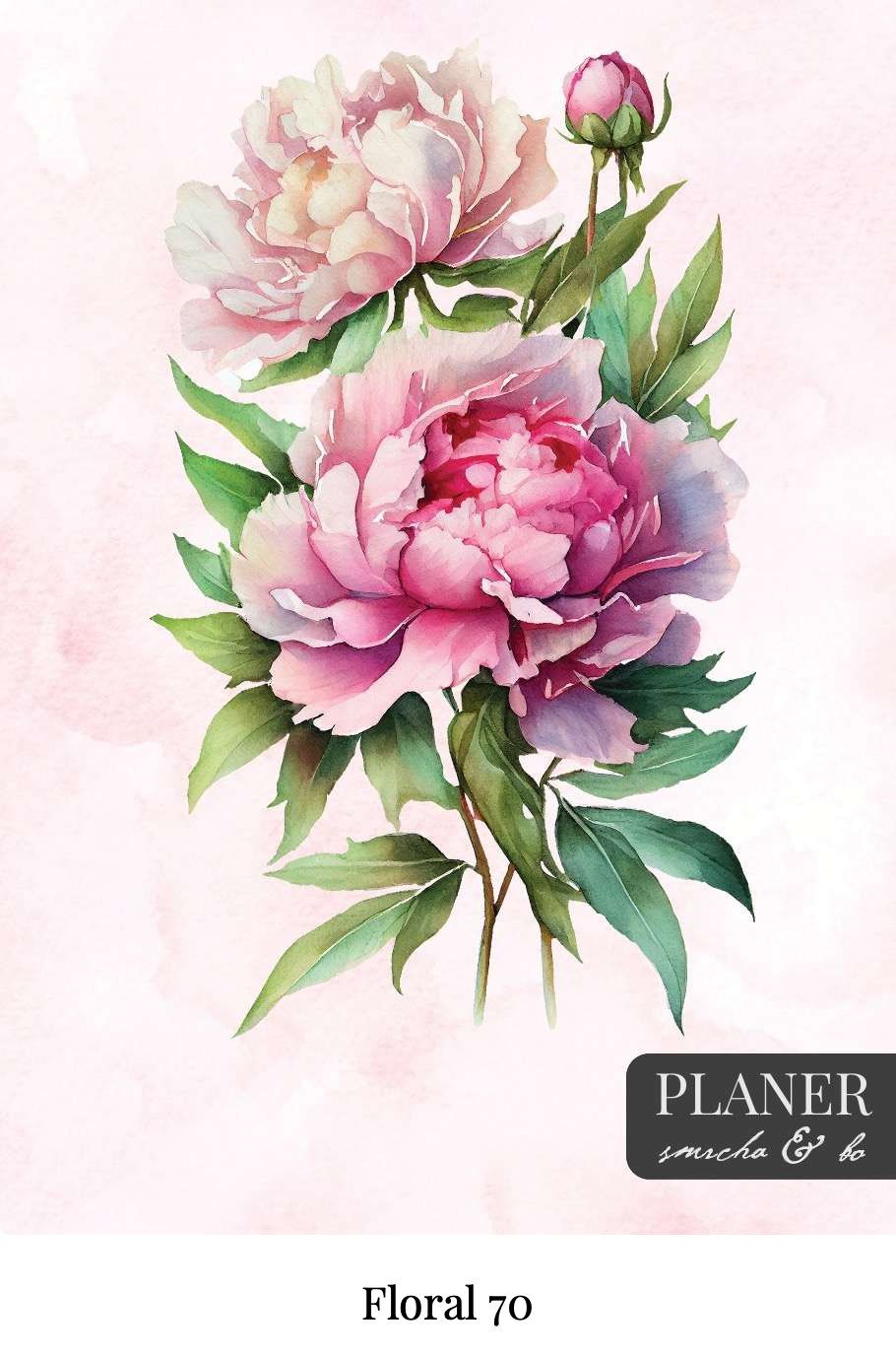 Kolekcija Floral