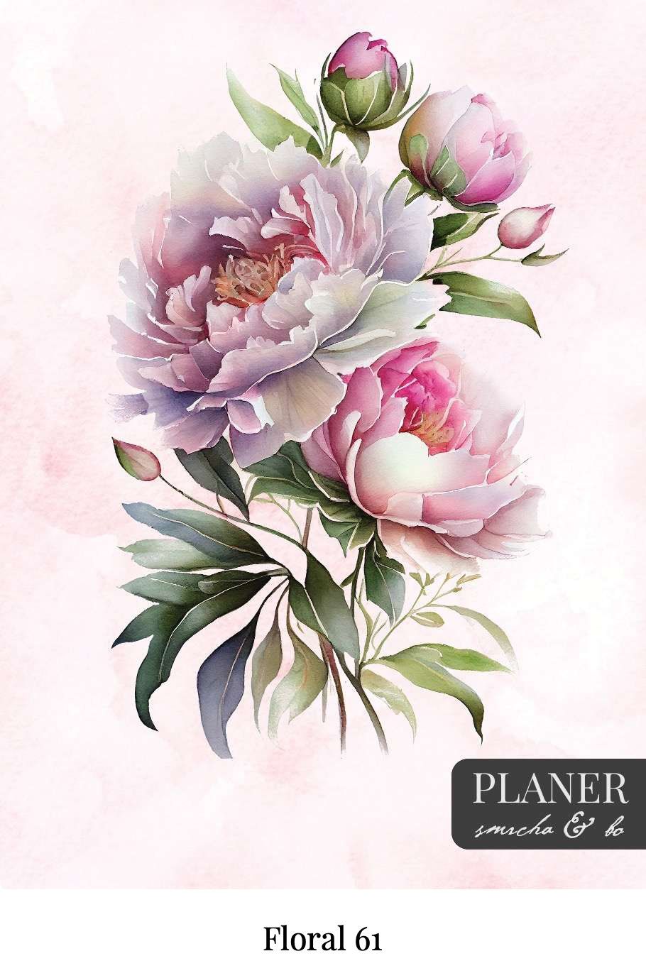 Kolekcija Floral