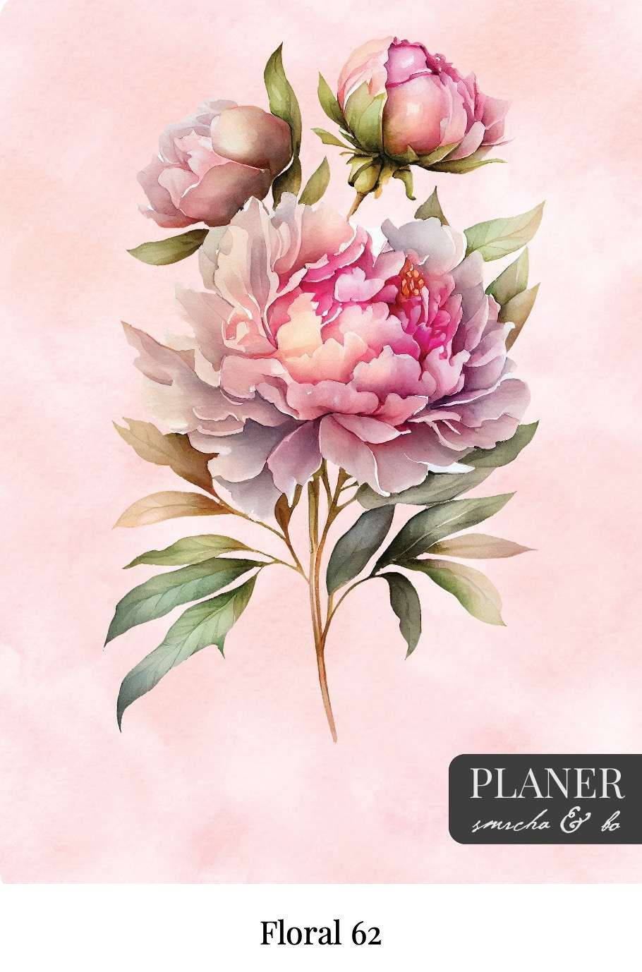 Kolekcija Floral