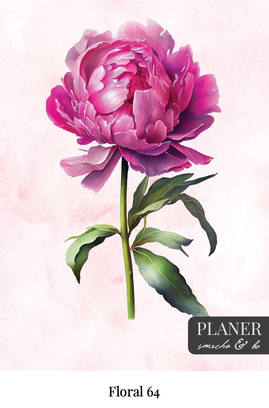 Kolekcija Floral