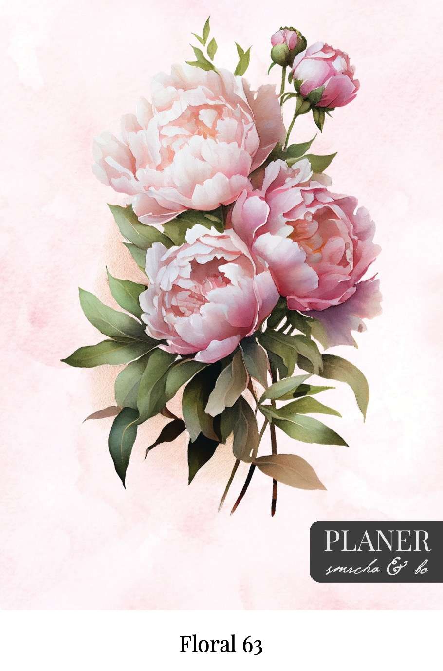 Kolekcija Floral