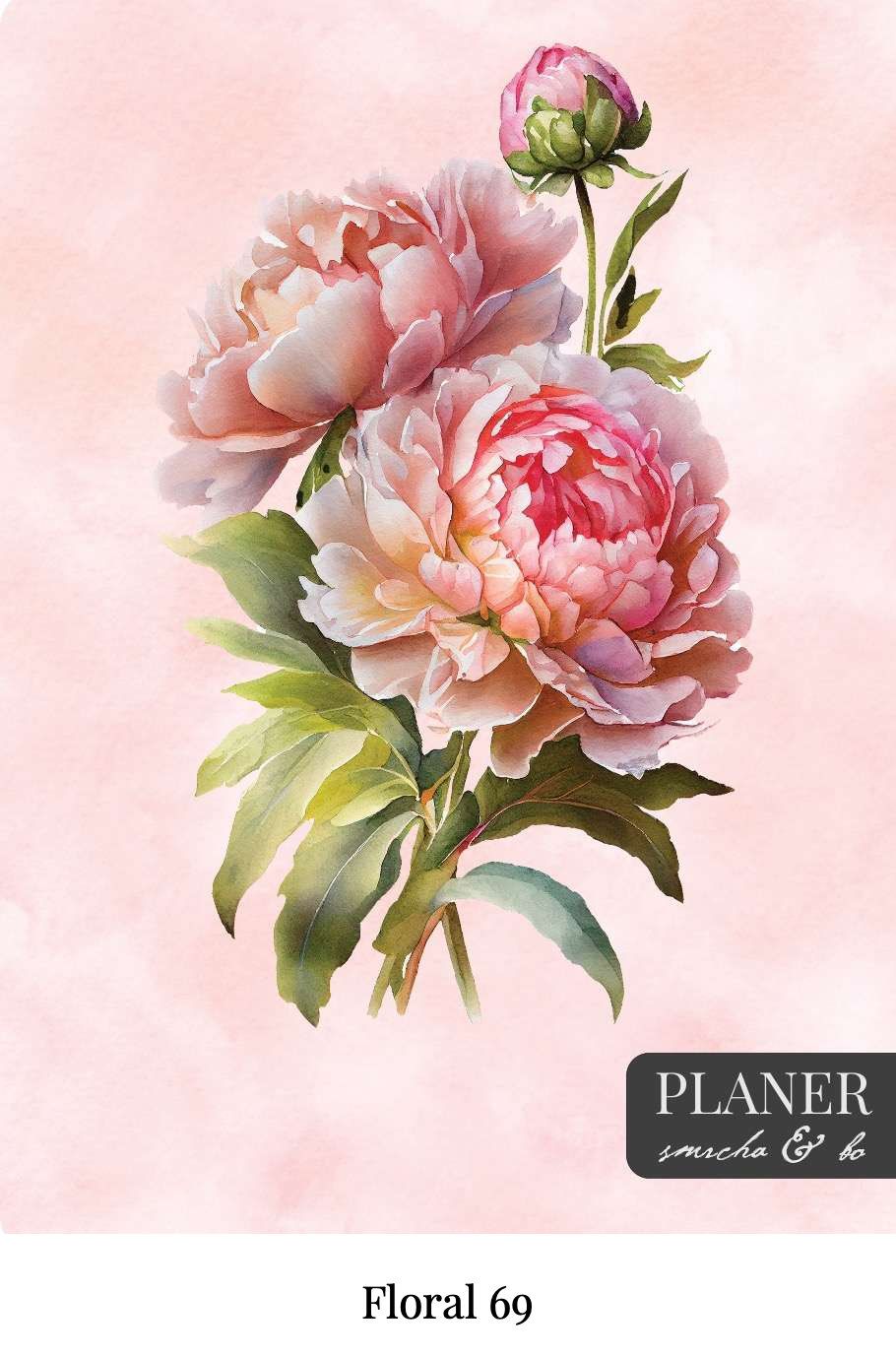 Kolekcija Floral