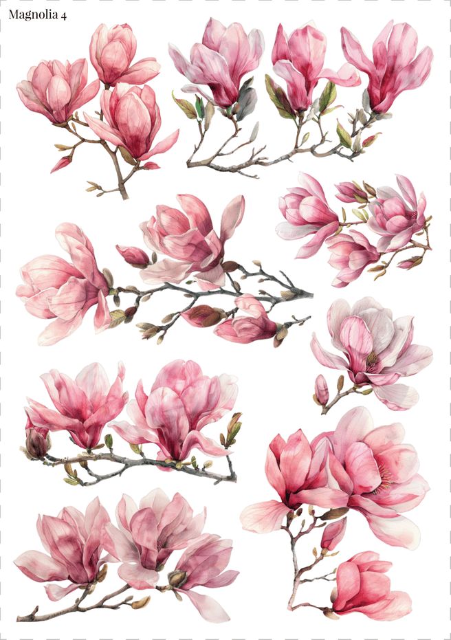 Stikeri &quot;Magnolia 4&quot;
