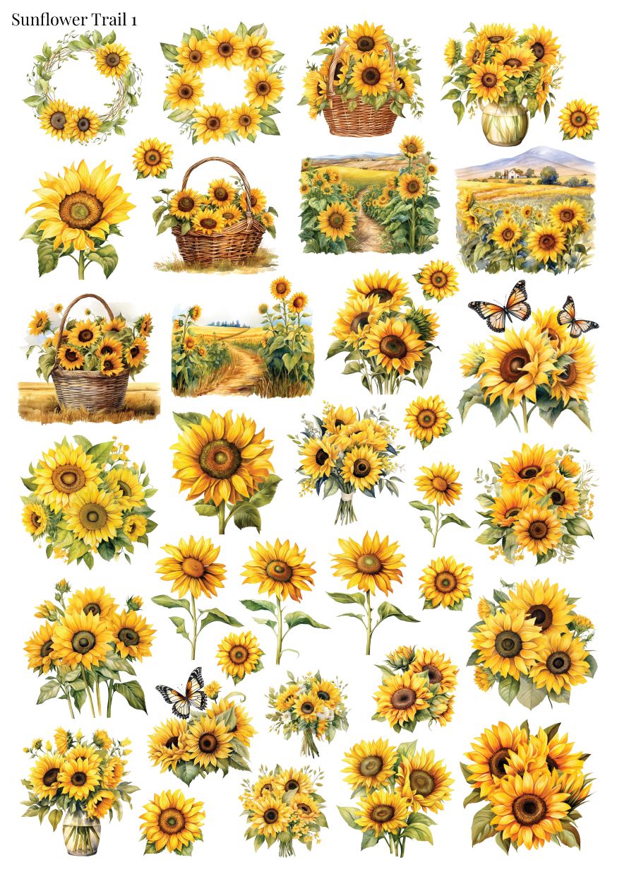 Stikeri &quot;Stikeri Sunflower Trail 1&quot;