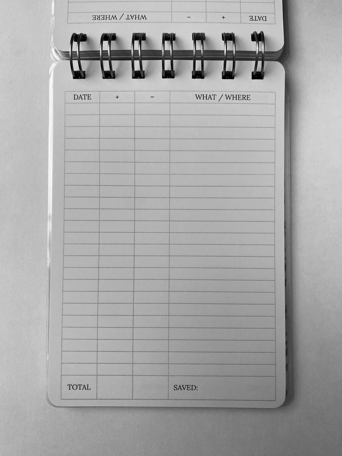 Planer Basic - Budžet (100x147)