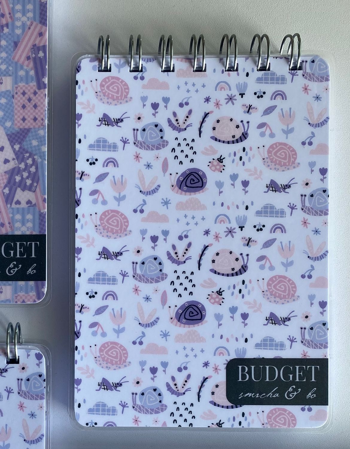 Planer Basic - Budžet (100x147)