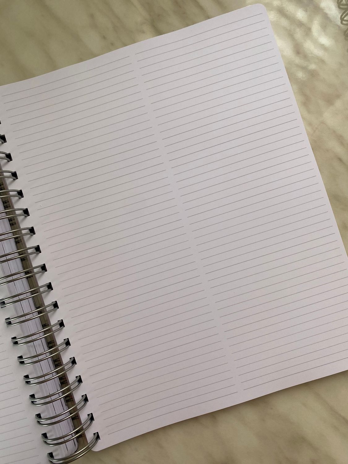 Queen-size journal (200x247)