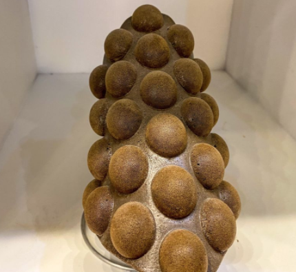 Chocolate Flavored Egg Puff
