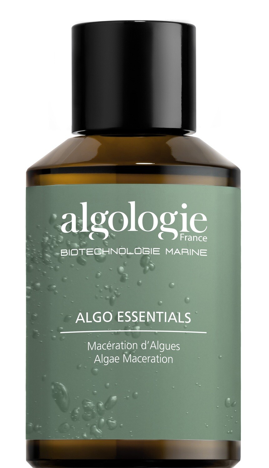 Algologie Algae Maceration