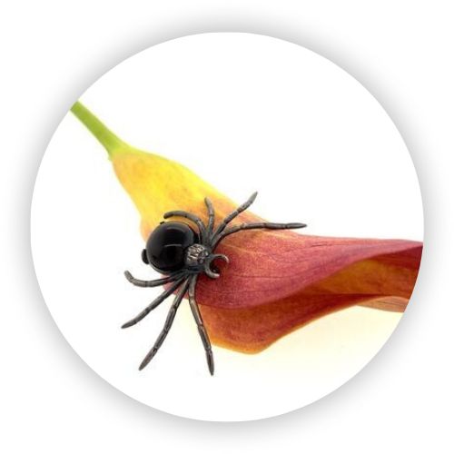 Spider Pin Onyx Spider Pin Onyx