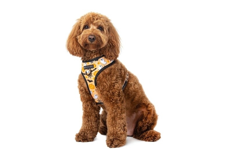 Halloween Harness
