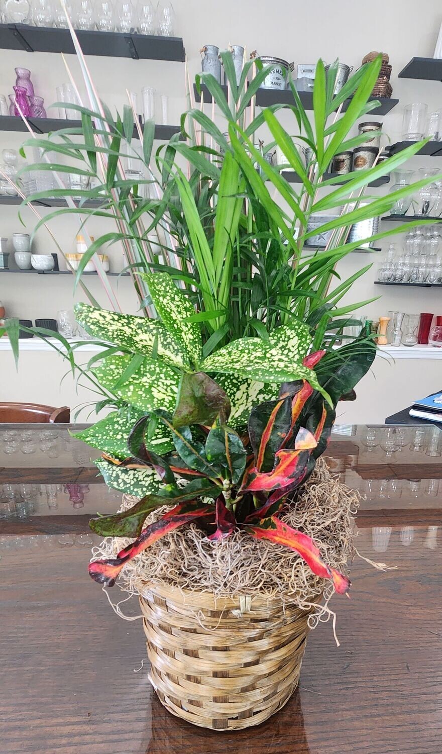 Garden Variety 6 inch