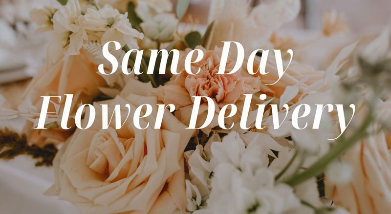 Same Day Delivery