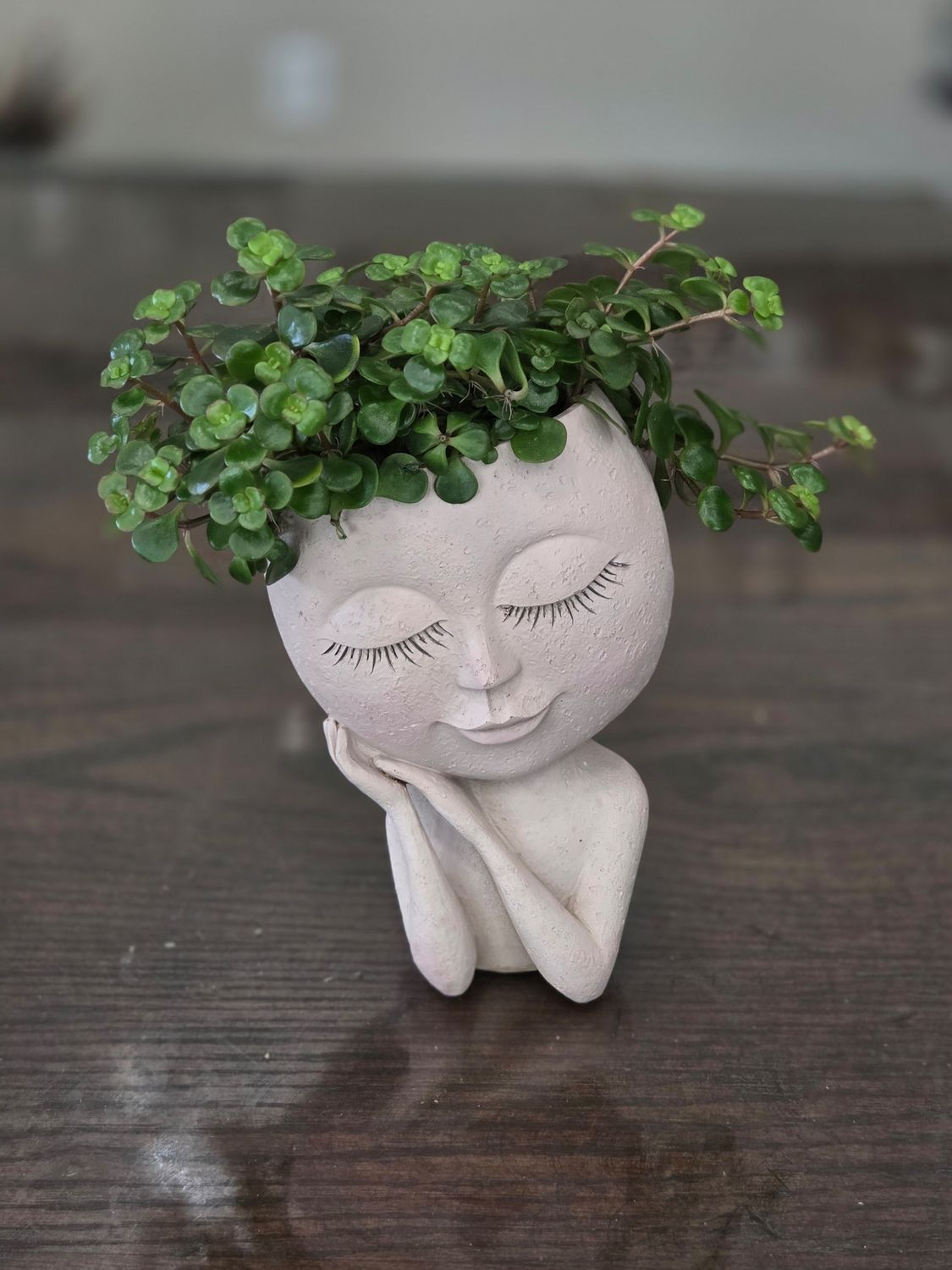 Resin Face Planter