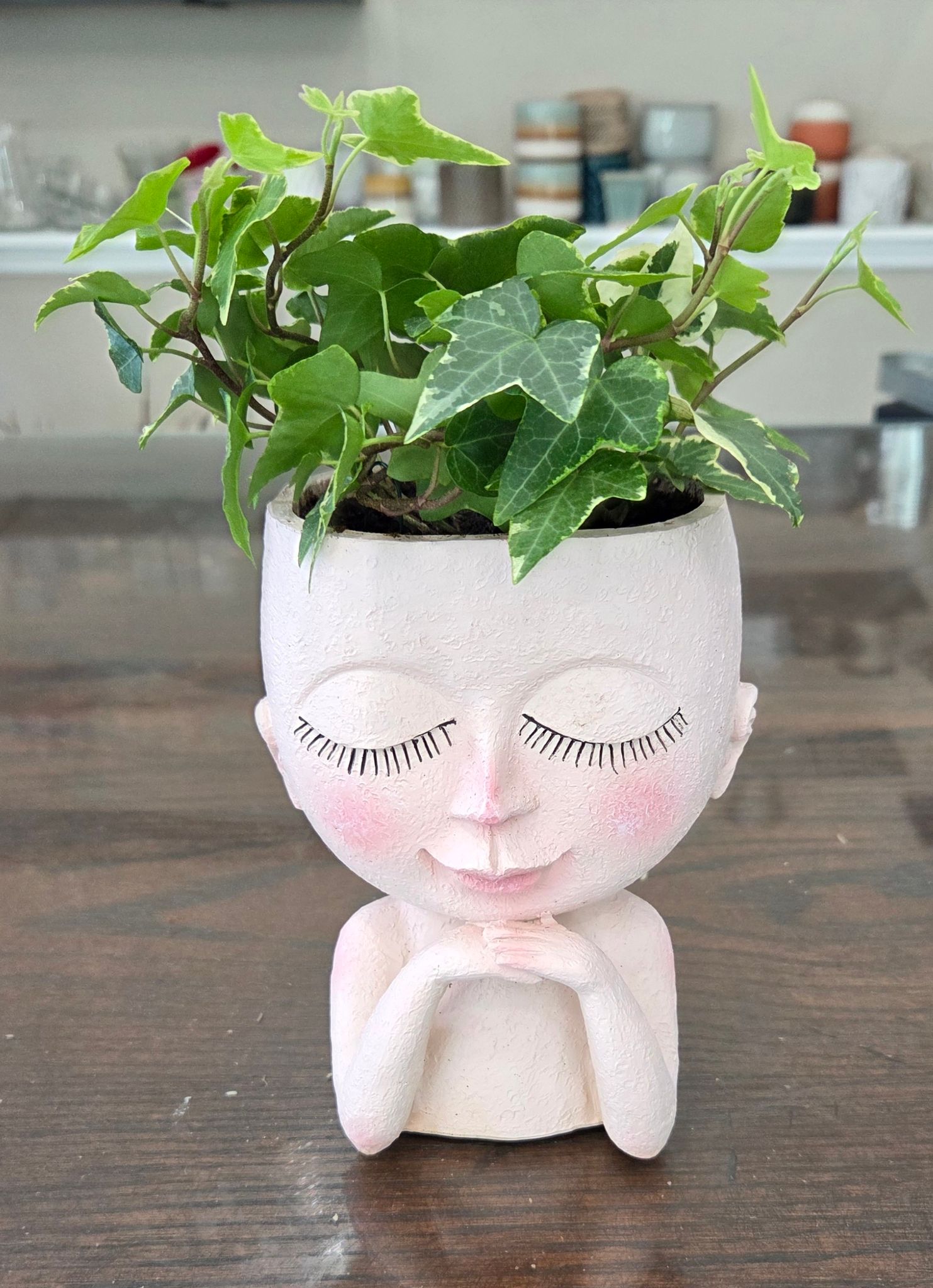 Resin Face Planter