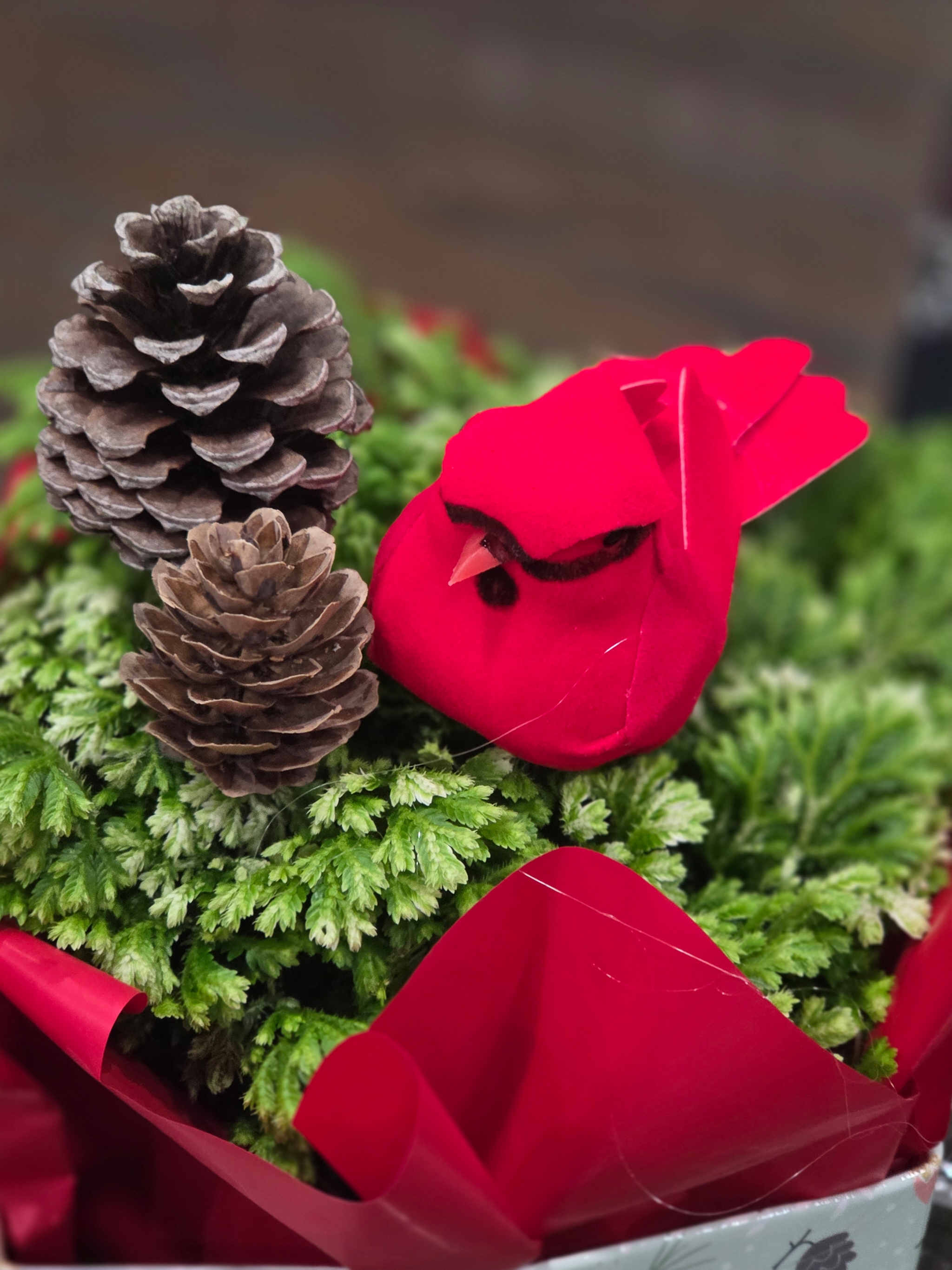 Planted fern and cardinal