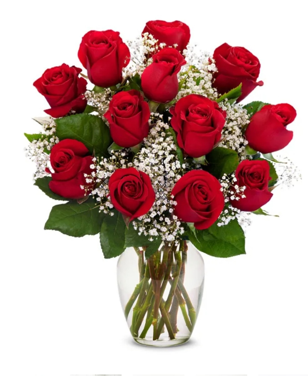 Red Rose Arrangement One Dozen